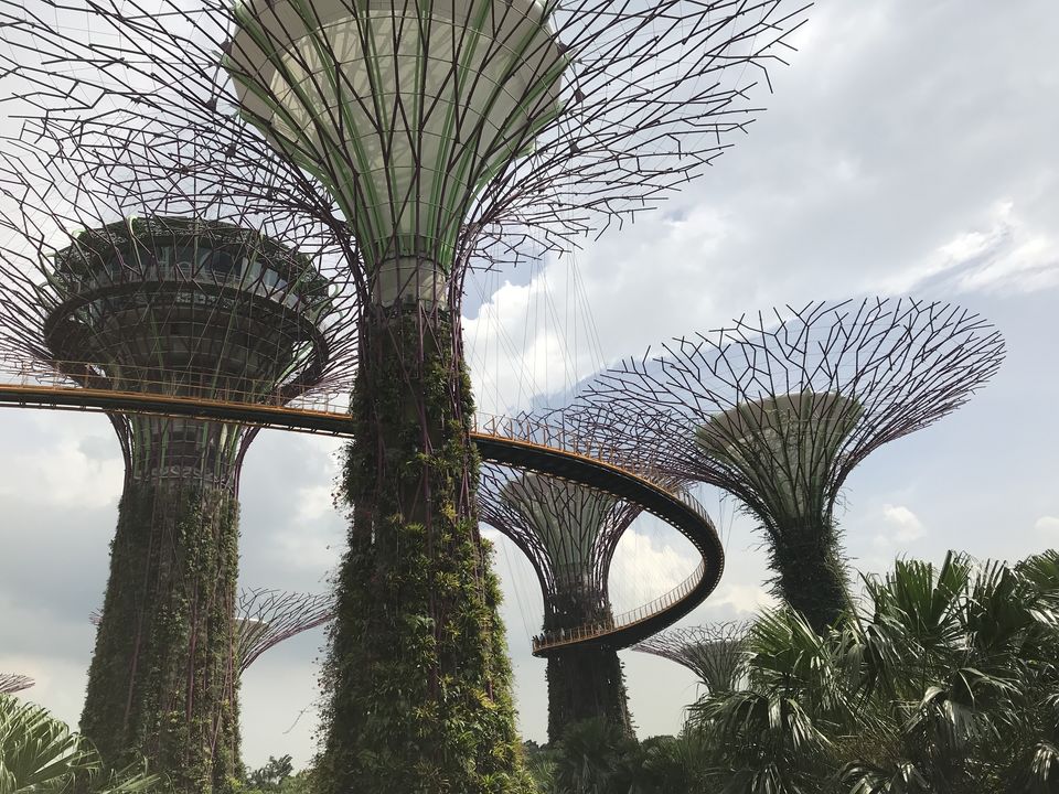 Photo of Marina Gardens Drive, Gardens by the Bay, Singapore by Gunjan Sharma