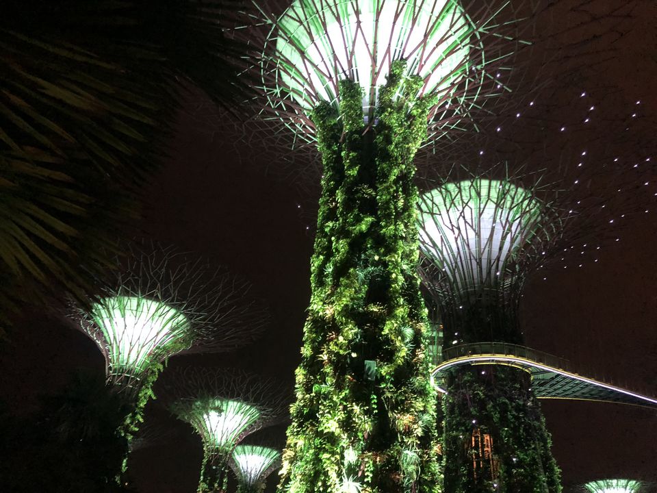 Photo of Marina Gardens Drive, Gardens by the Bay, Singapore by Gunjan Sharma