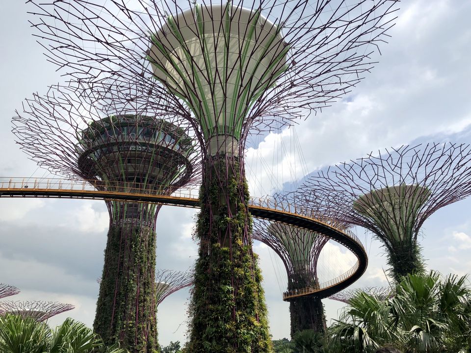 Photo of Marina Gardens Drive, Gardens by the Bay, Singapore by Gunjan Sharma
