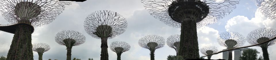 Photo of Marina Gardens Drive, Gardens by the Bay, Singapore by Gunjan Sharma