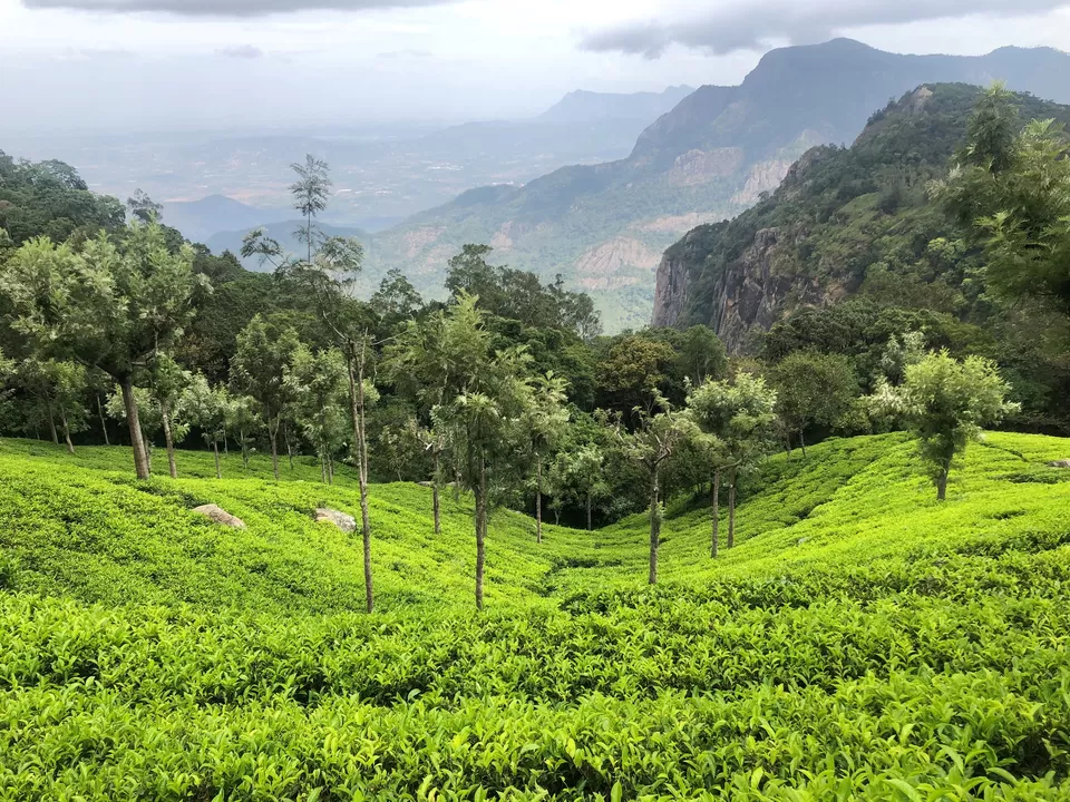 Photo of Coonoor, Tamil Nadu, India by Gunjan Sharma
