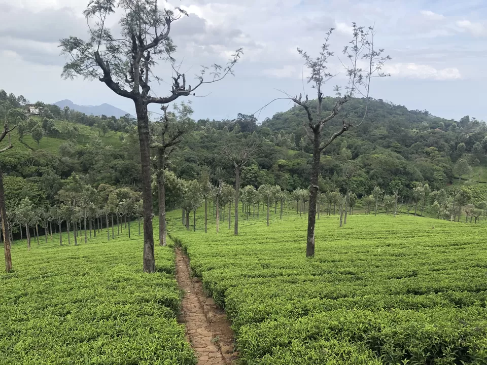 Photo of Coonoor, Tamil Nadu, India by Gunjan Sharma