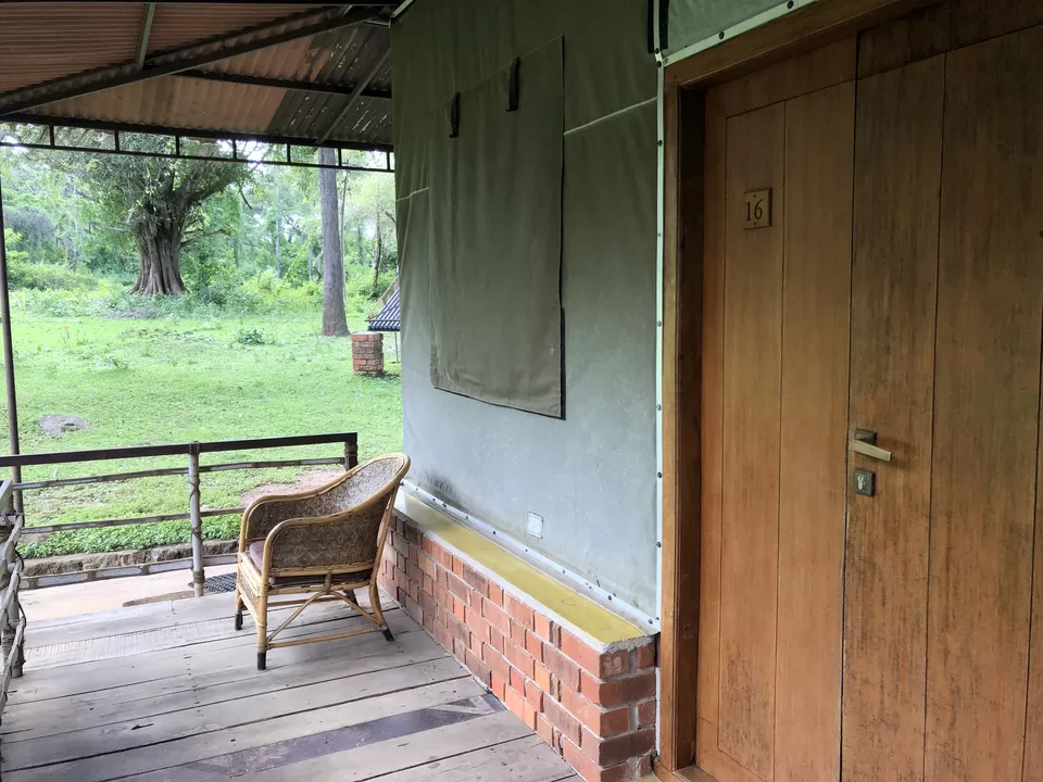 Photo of Jungle Hut Masinagudi, Nilgiris, Tamil Nadu, India by Gunjan Sharma