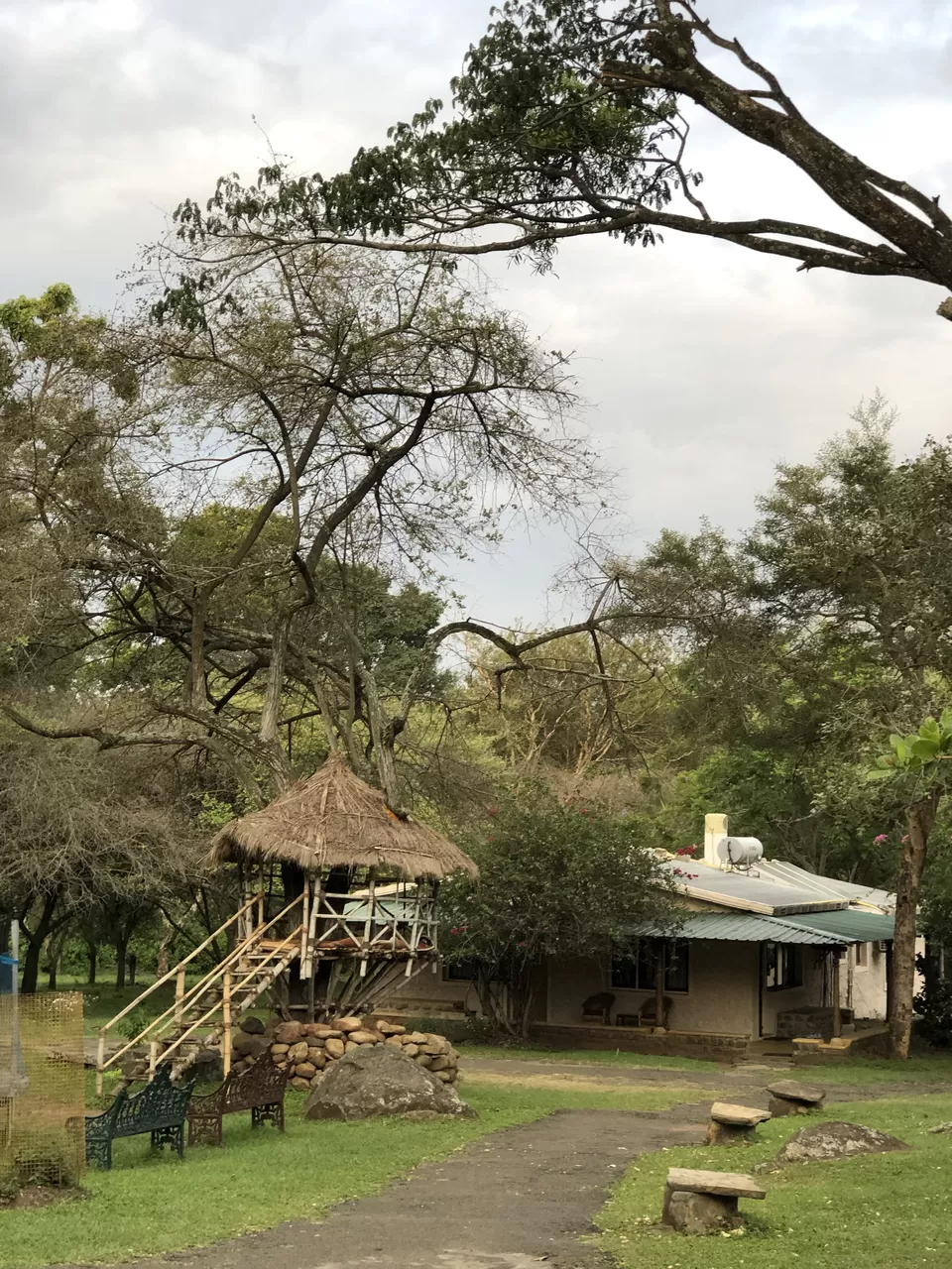 Photo of Jungle Hut Masinagudi, Nilgiris, Tamil Nadu, India by Gunjan Sharma