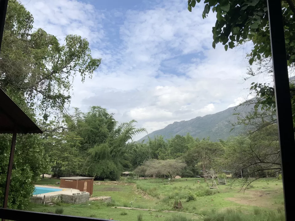 Photo of Jungle Hut Masinagudi, Nilgiris, Tamil Nadu, India by Gunjan Sharma