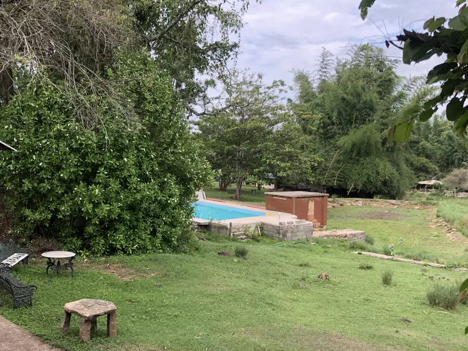 Photo of Jungle Hut Masinagudi, Nilgiris, Tamil Nadu, India by Gunjan Sharma