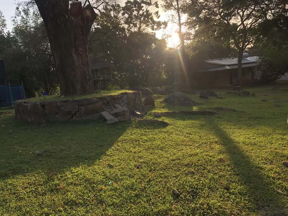 Photo of Jungle Hut Masinagudi, Nilgiris, Tamil Nadu, India by Gunjan Sharma