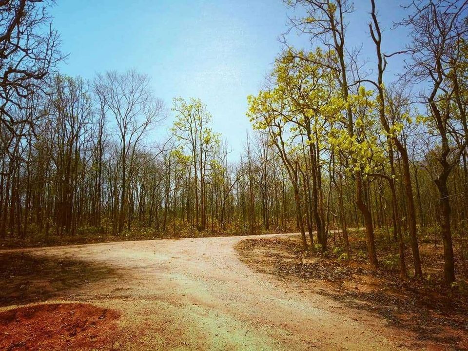 Photo of Explore wildlife in Hazaribagh Wildlife Sanctuary by Prabhat Kumar