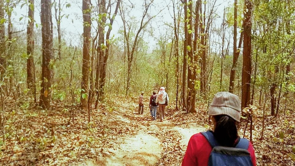 Photo of Explore wildlife in Hazaribagh Wildlife Sanctuary by Prabhat Kumar