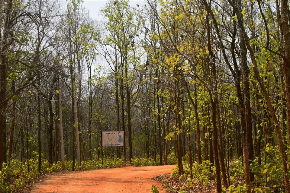 Photo of Explore wildlife in Hazaribagh Wildlife Sanctuary by Prabhat Kumar