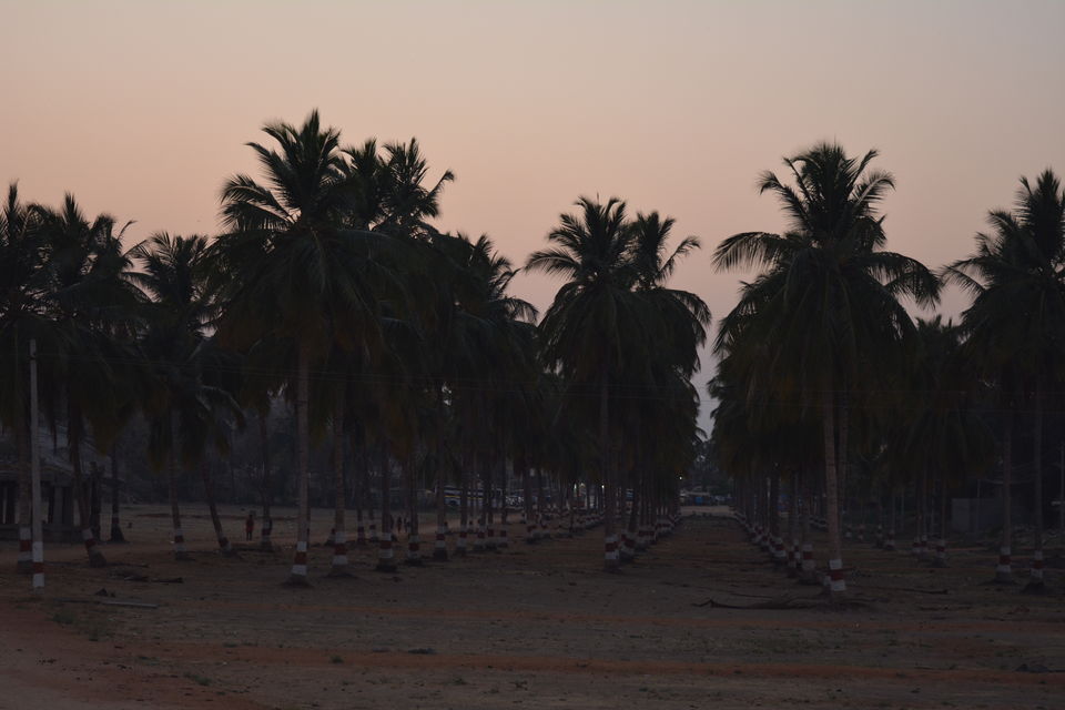 Photo of The Mythological Connection to the Ancient City of Hampi..!! 6/15 by Tulika Todi