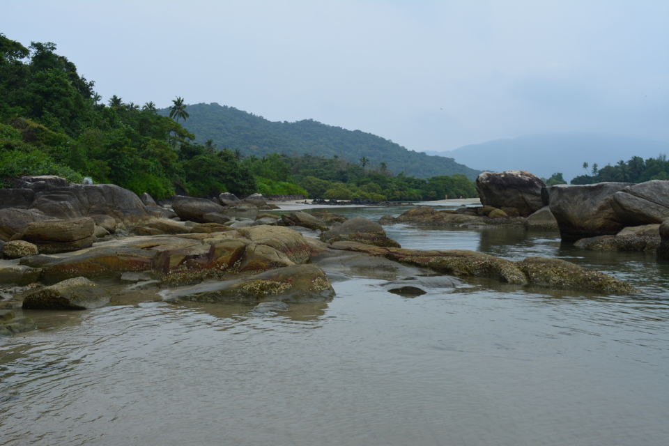 Photo of Palolem Beach, Goa by Tulika Todi