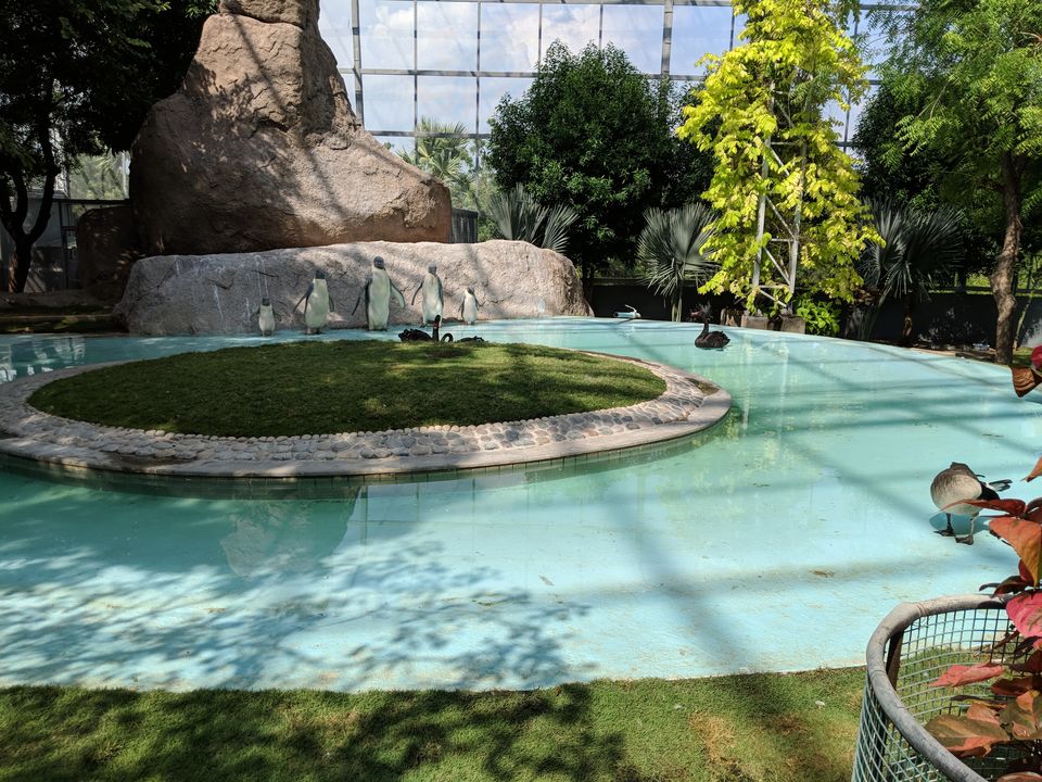 Photo of A visit to Ramoji Film City, Hyderabad! by Tulika Todi