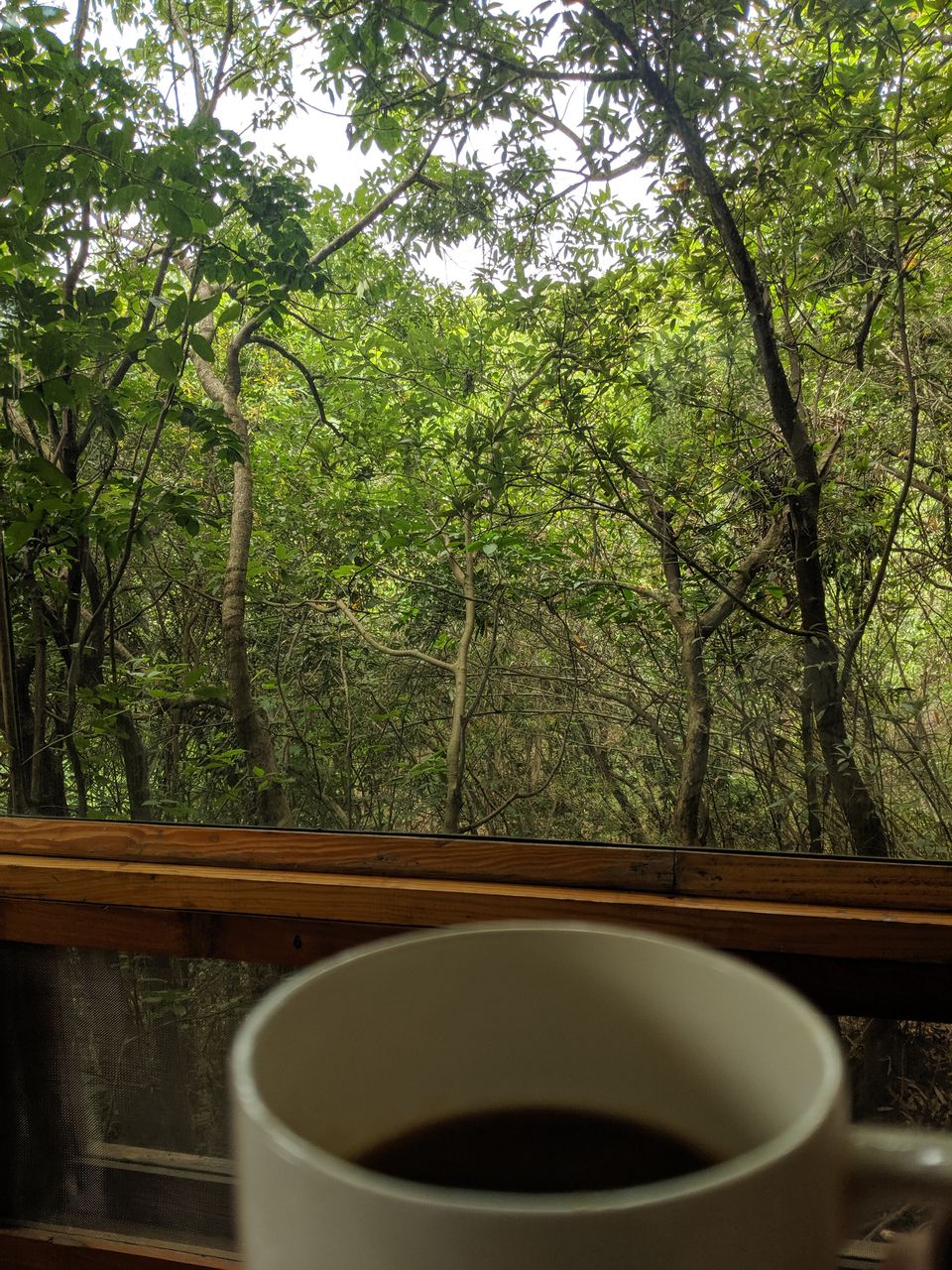 Photo of This place near Pune gives you a perfect hideout, secluded amidst nature, a perfect weekend getaway! by Tulika Todi