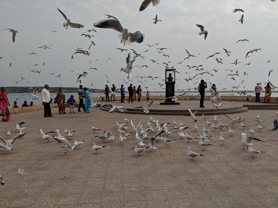Photo of Somnath, Gujarat, India by Tulika Todi