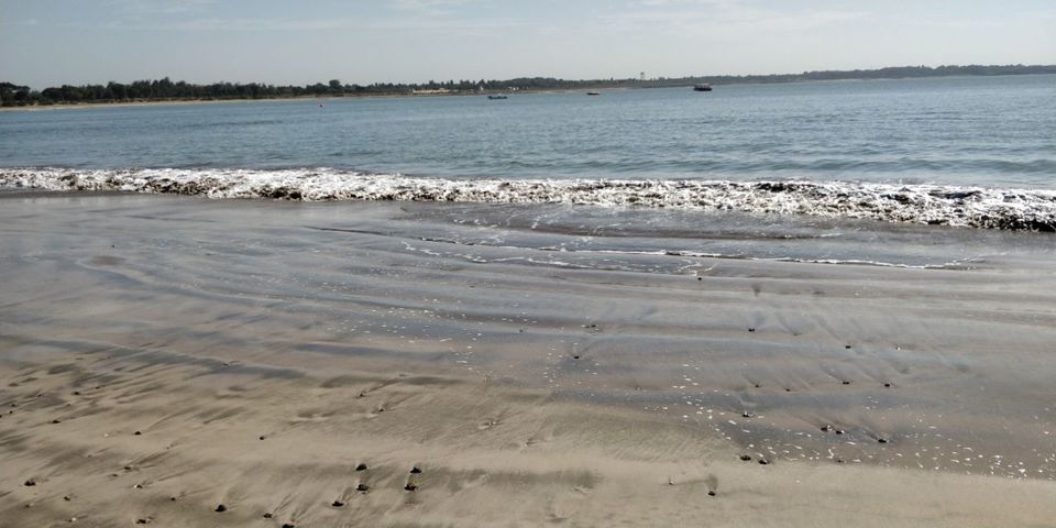 Photo of Diu, Daman and Diu, India by Tulika Todi