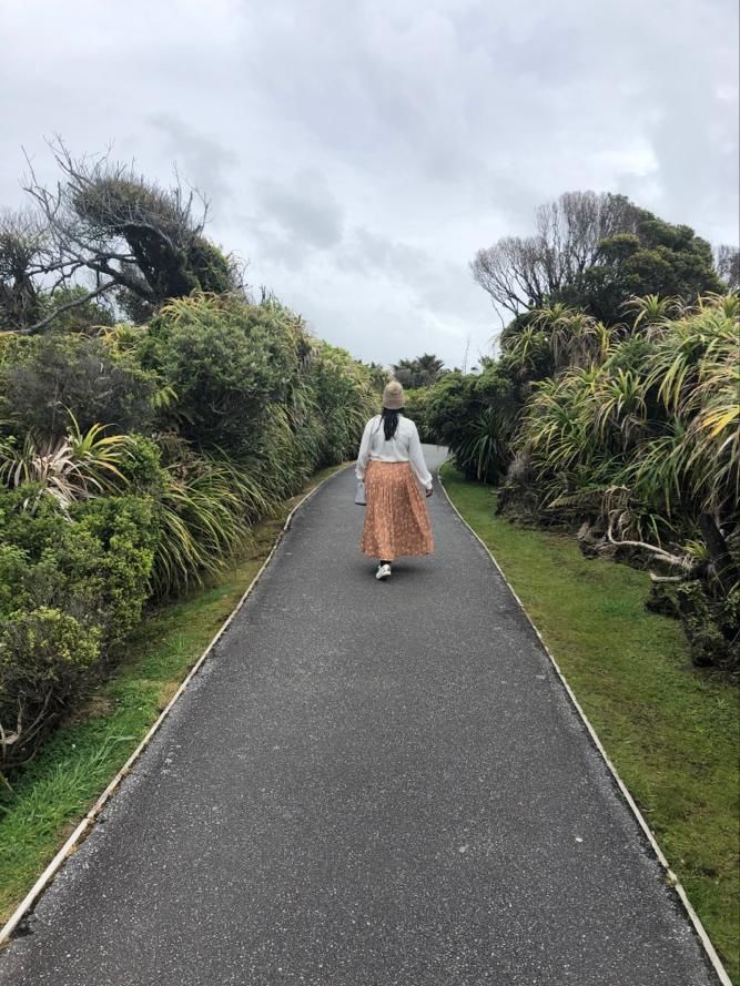 Photo of Punakaiki, New Zealand by Tulika Todi