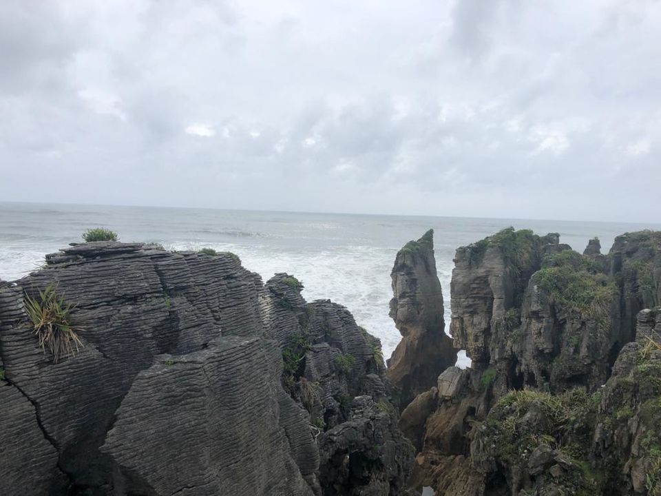 Photo of Punakaiki, New Zealand by Tulika Todi