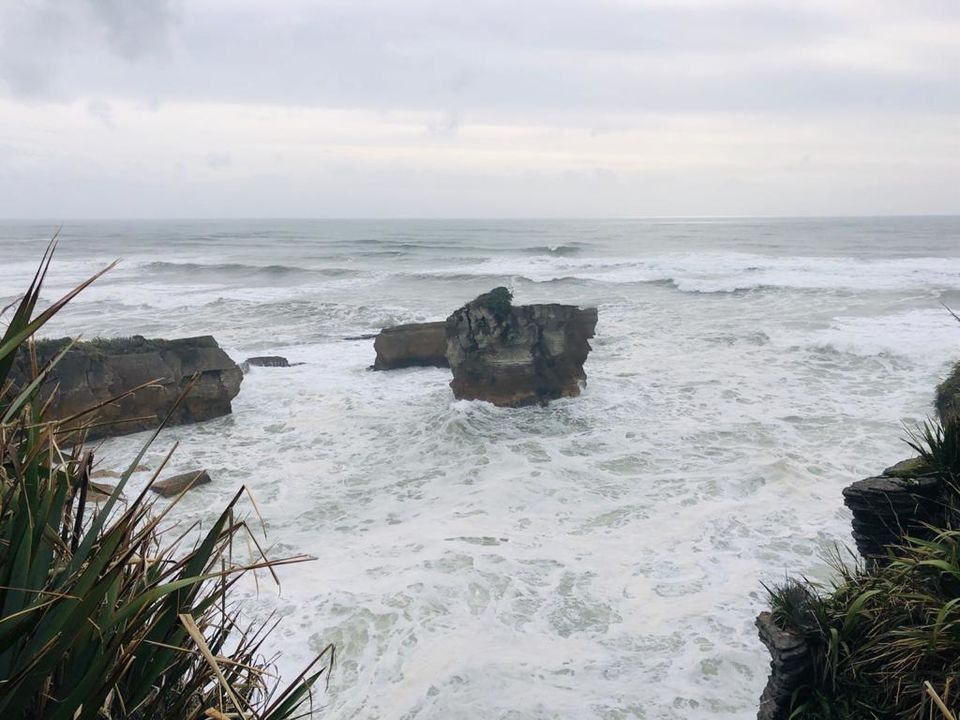 Photo of Punakaiki, New Zealand by Tulika Todi