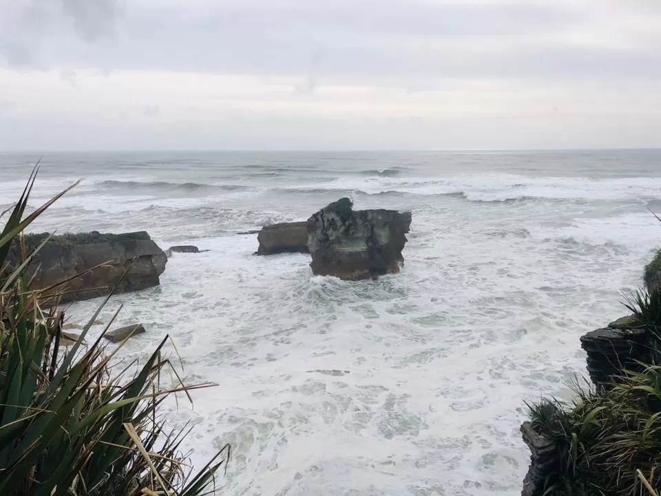 Photo of Punakaiki, New Zealand by Tulika Todi