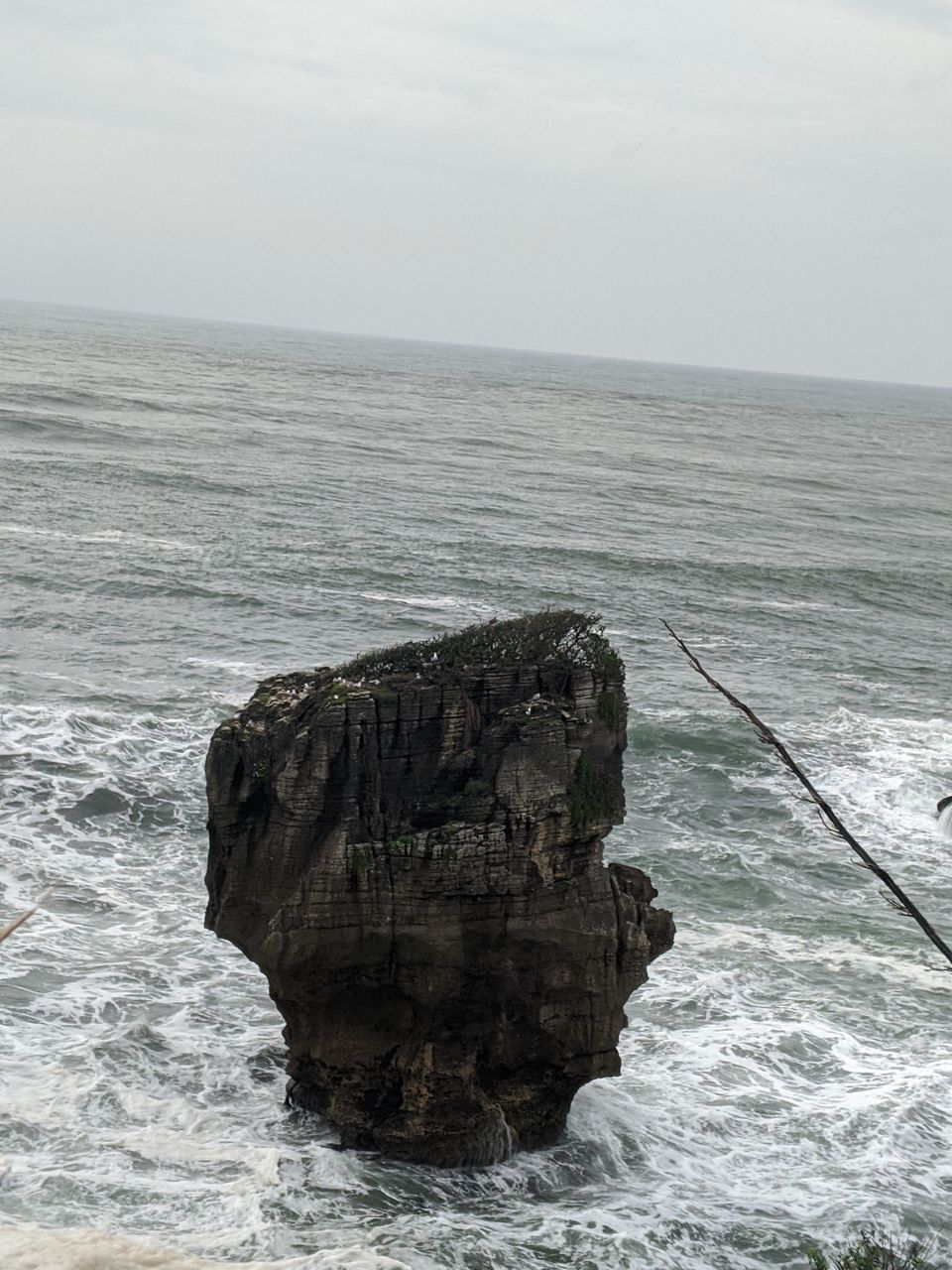 Photo of Punakaiki, New Zealand by Tulika Todi
