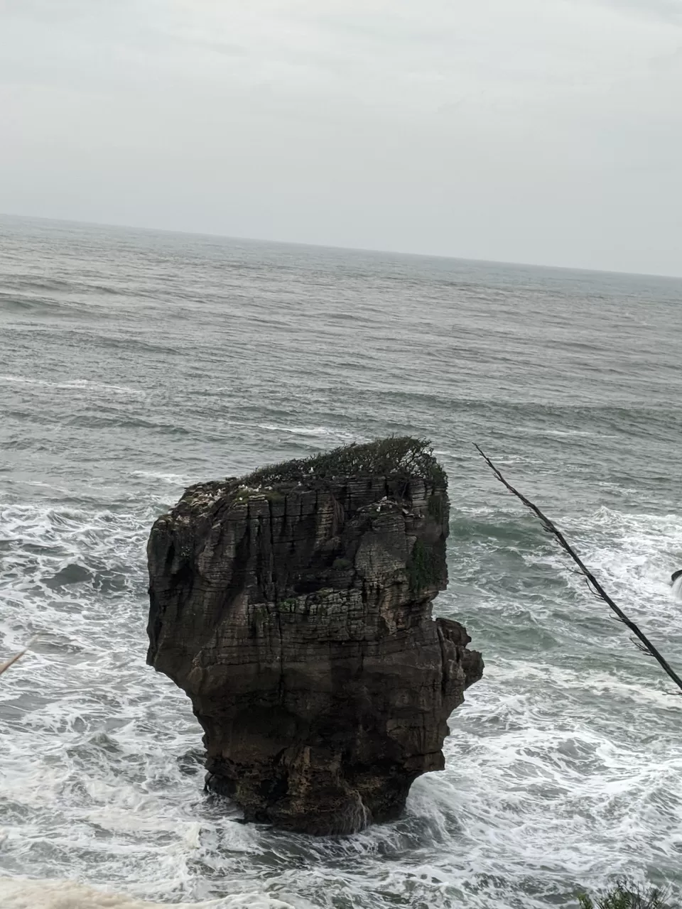 Photo of Punakaiki, New Zealand by Tulika Todi
