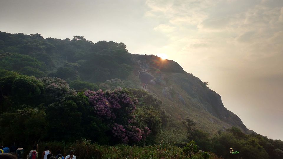 Photo of Upsurge to Clouds, Velliyangiri Hills, Coimbatore 6/33 by Giri Mallela