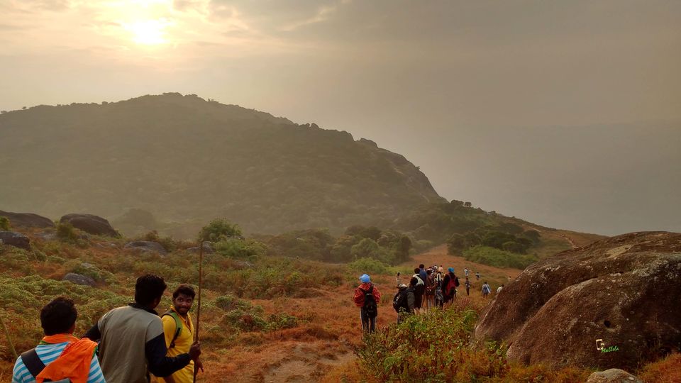 Photo of Upsurge to Clouds, Velliyangiri Hills, Coimbatore 25/33 by Giri Mallela