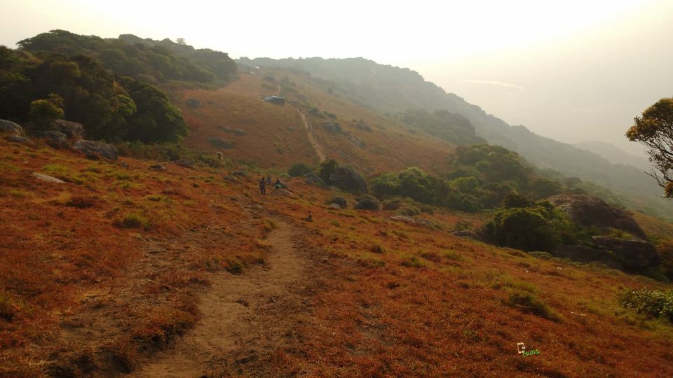 Photo of Upsurge to Clouds, Velliyangiri Hills, Coimbatore 29/33 by Giri Mallela