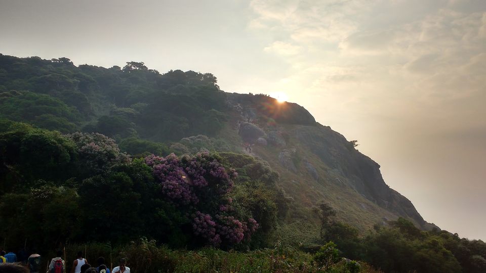 Photo of Upsurge to Clouds, Velliyangiri Hills, Coimbatore 33/33 by Giri Mallela