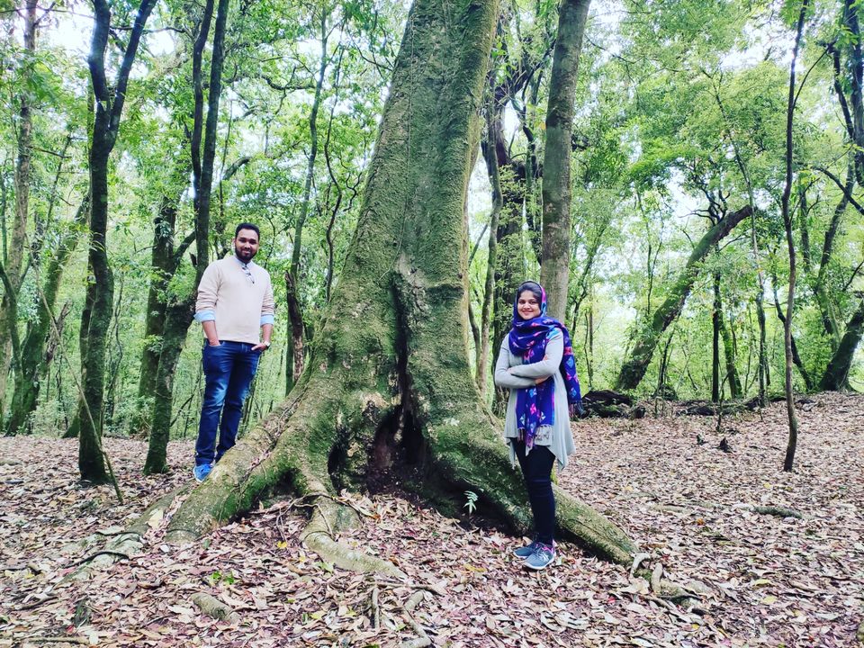 Photo of बस तय किया और चल पड़े मेघलाय के सफ़र पर by Ashutosh Sharma