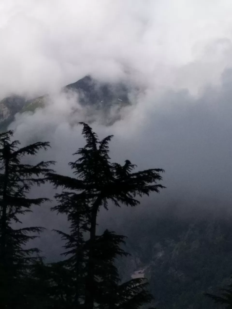 Photo of Narkanda, Himachal Pradesh, India by avinash rajput