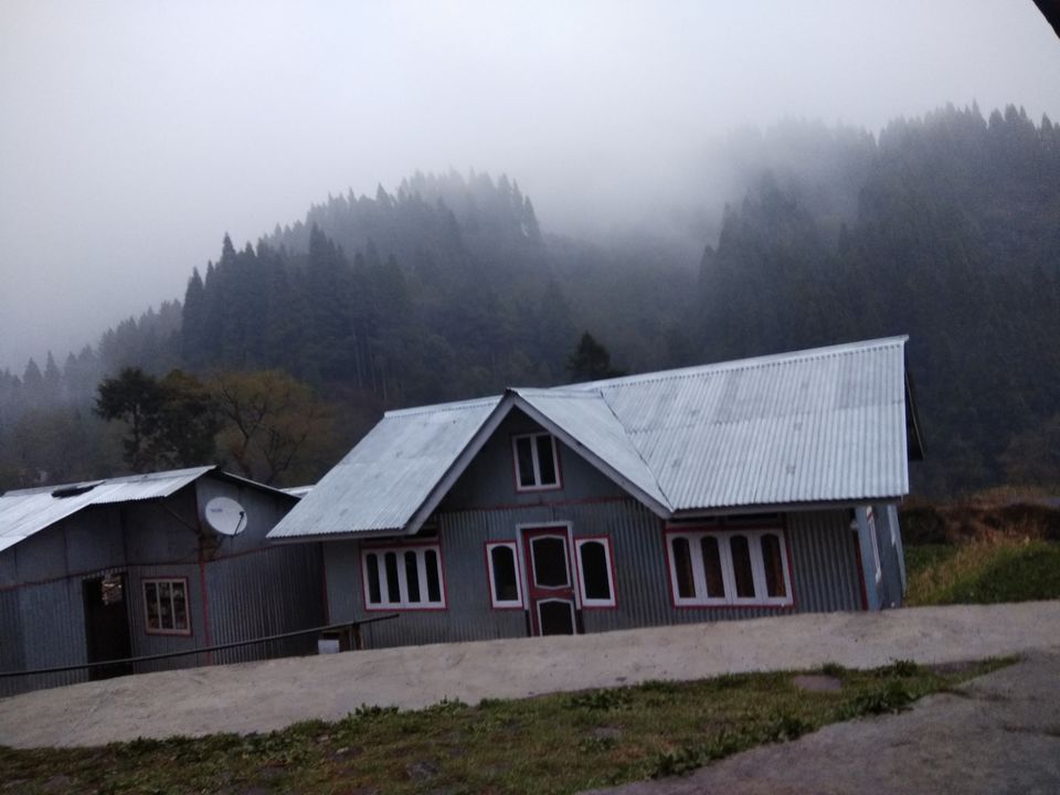 Photo of Truly amidst nature - Gorkhey by Shalini Roy