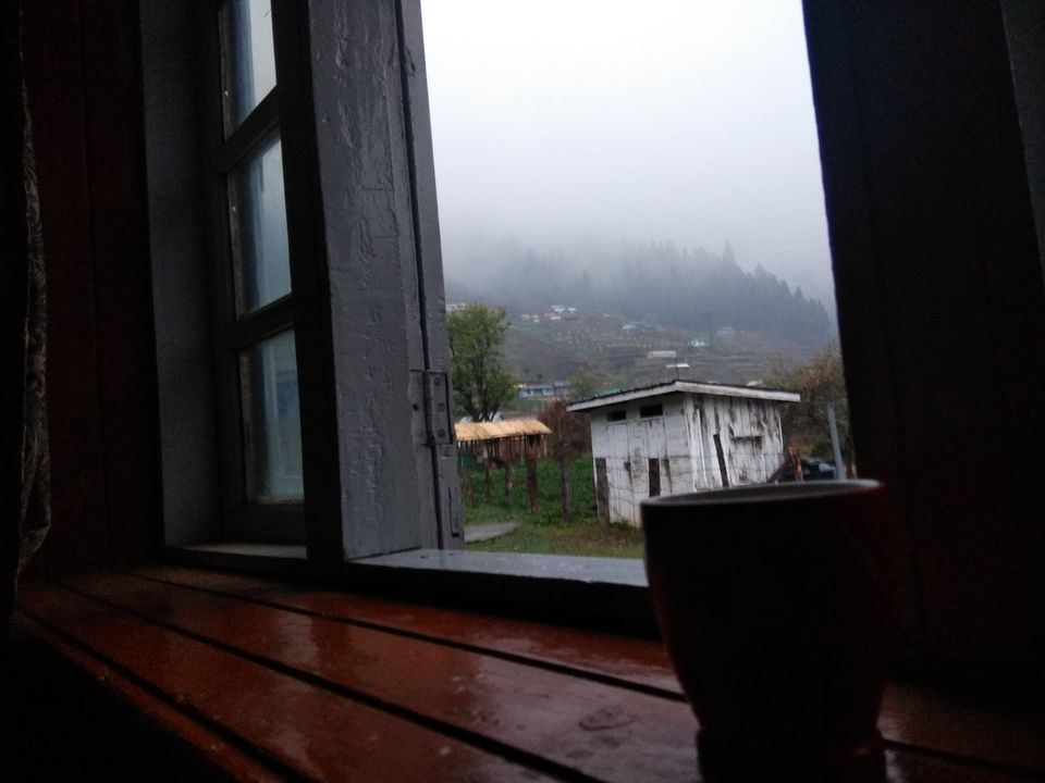 Photo of Truly amidst nature - Gorkhey by Shalini Roy