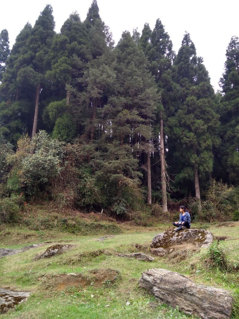 Photo of Truly amidst nature - Gorkhey by Shalini Roy