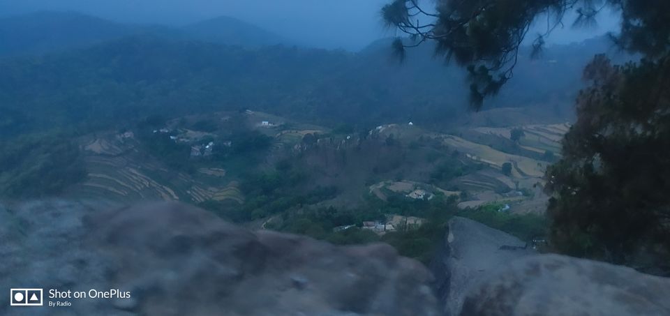 Photo of Delhi to Munsyari To Tungnath by Prakash Semalty