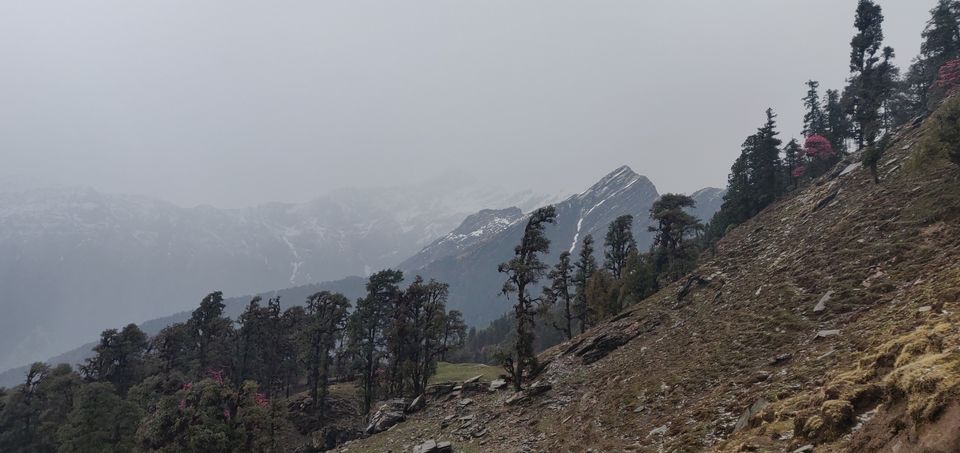 Photo of Delhi to Munsyari To Tungnath by Prakash Semalty