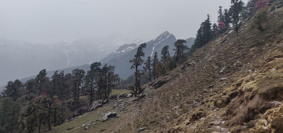 Photo of Delhi to Munsyari To Tungnath by Prakash Semalty