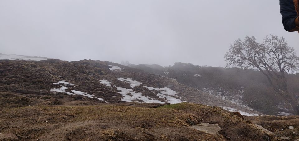 Photo of Delhi to Munsyari To Tungnath by Prakash Semalty