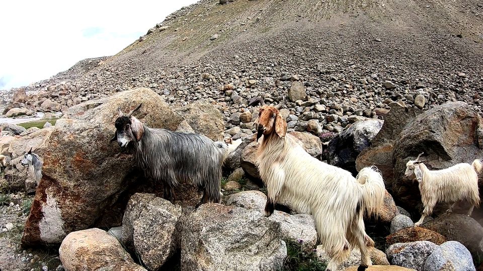 Photo of Bhuntar, Himachal Pradesh, India by Keerthi Shenoy