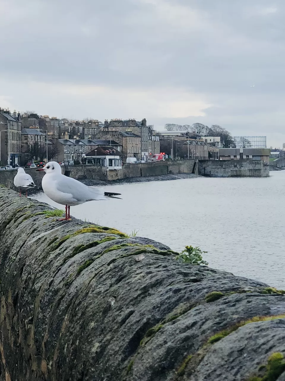 Photo of Leith Walk, Edinburgh, UK by Nirali Shah