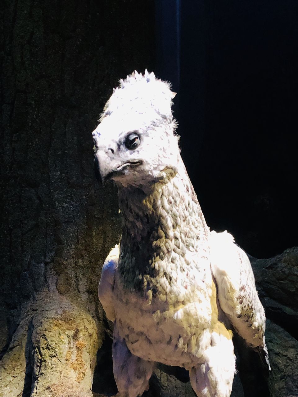 Photo of Warner Bros. Studio Tour London, Studio Tour Drive, Watford, UK by Nirali Shah