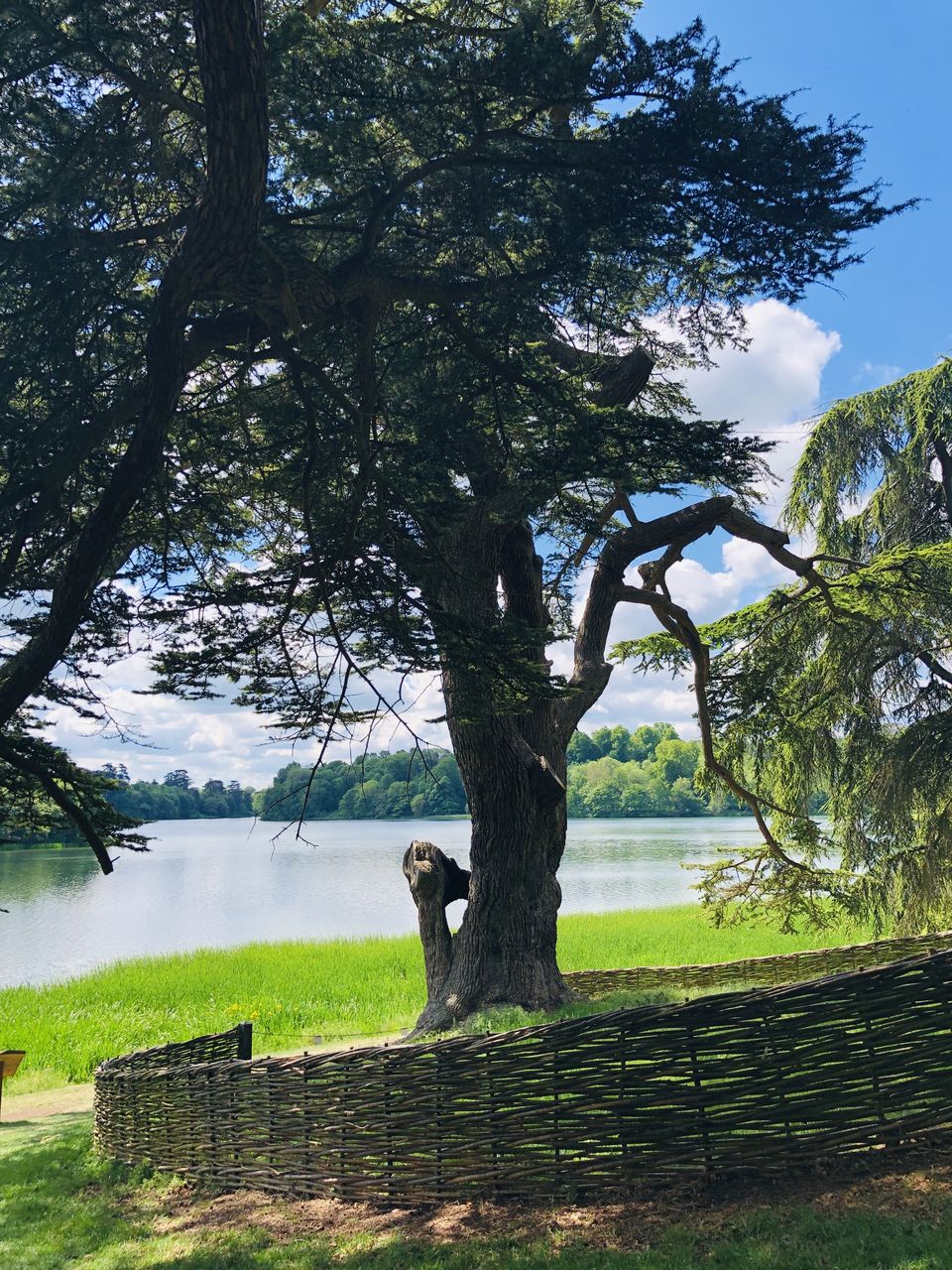 Photo of Blenheim Palace, Woodstock, UK by Nirali Shah