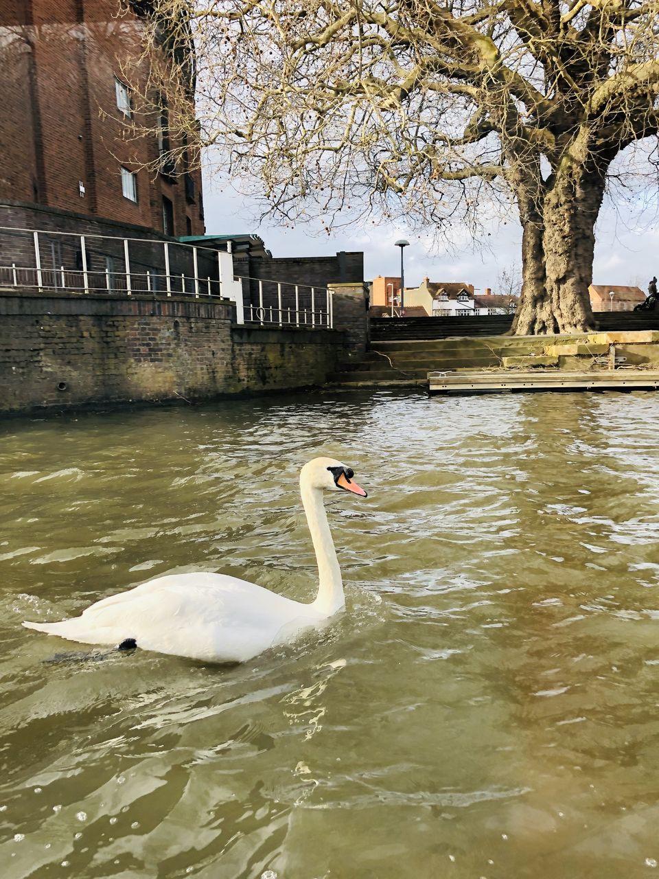 Photo of Shakespeare's Birthplace, Henley Street, Stratford-upon-Avon, UK by Nirali Shah
