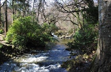 Photo of Ultimate Guide for Game of Thrones sites: Northern Ireland. 1/11 by Keerthana
