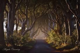 Photo of Ultimate Guide for Game of Thrones sites: Northern Ireland. 2/11 by Keerthana