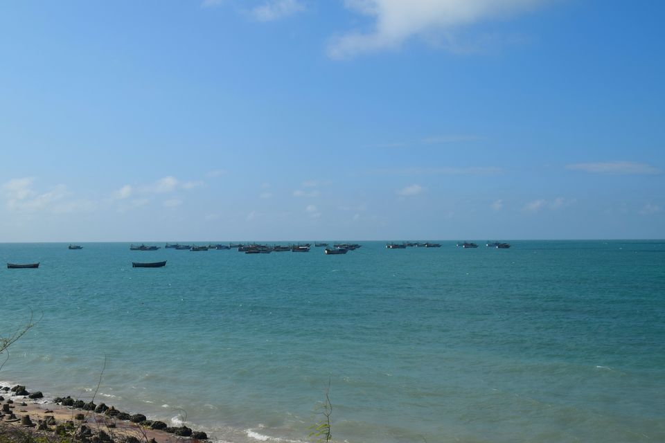 Photo of Bangalore- Rameshwaram-Munnar-Valparai 57/255 by Dk
