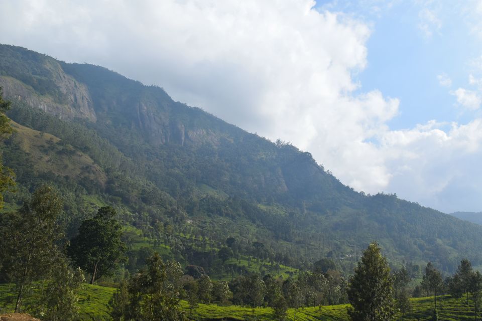 Photo of Bangalore- Rameshwaram-Munnar-Valparai 131/255 by Dk
