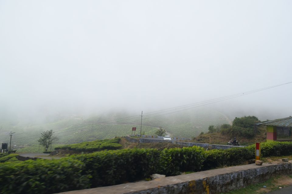Photo of Bangalore- Rameshwaram-Munnar-Valparai 168/255 by Dk