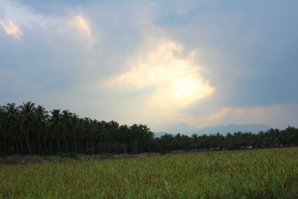 Photo of Bangalore- Rameshwaram-Munnar-Valparai 221/255 by Dk
